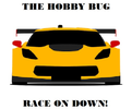 The Hobby Bug RC Speedway